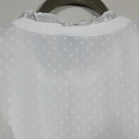Torrid Swiss Dot Sheer Ruffled Blouse Size 4 4X White Cottage Flowy Delicate - Picture 11 of 13